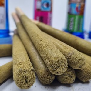 SD Moonsticks
